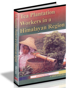 Tea Plantation Workers In A Himalayan Region