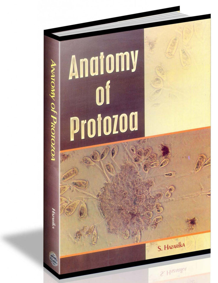 Anatomy of Protozoa