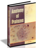 Anatomy of Protozoa