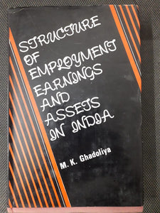 Structure of Employment, Earnings and Assets in India