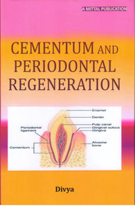 Cementum and Periodontal Regeneration