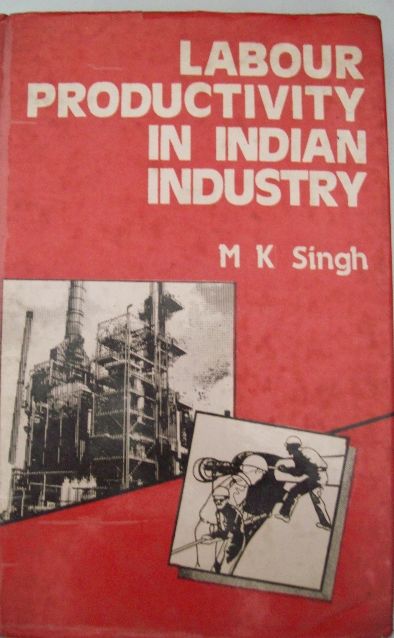 Labour Productivity In Indian Industry