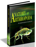 Anatomy of Arthropoda