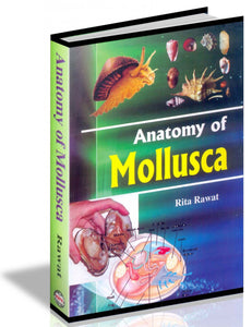 Anatomy of Mollusca