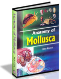 Anatomy of Mollusca