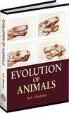 Evolution of Animals