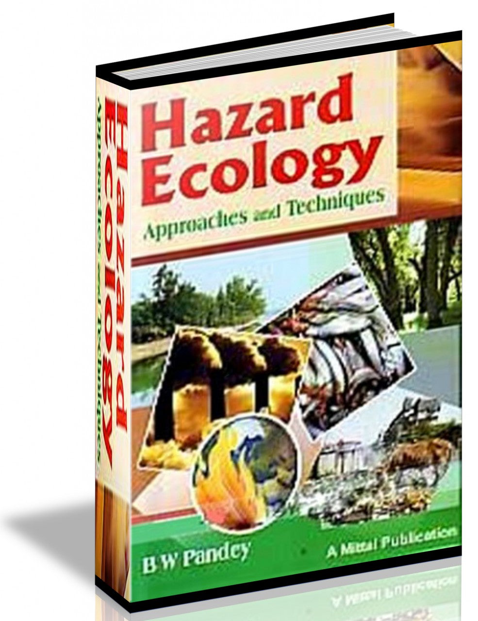 Hazard Ecology  Approaches and Techniques