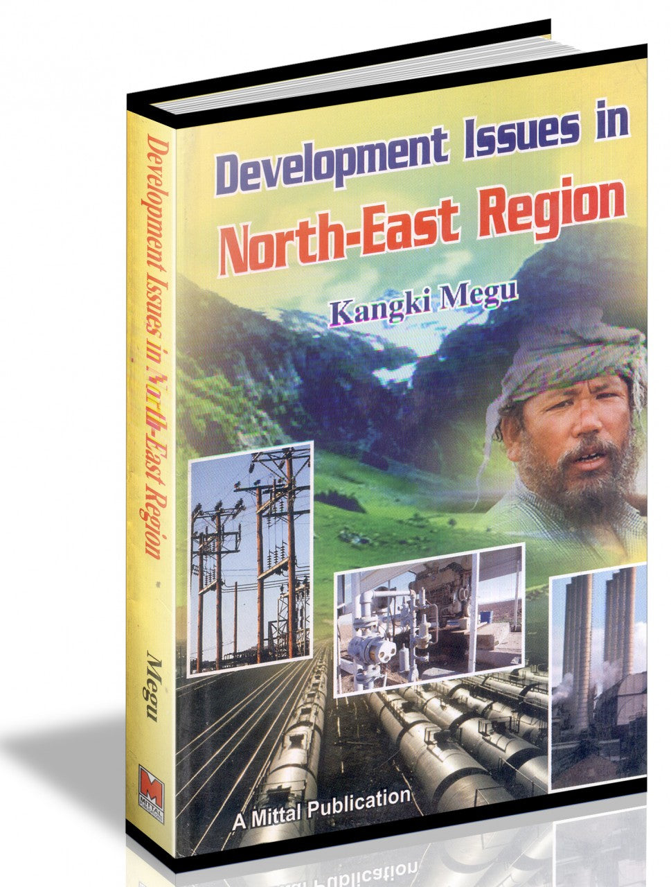 Development Issues in North-East Region