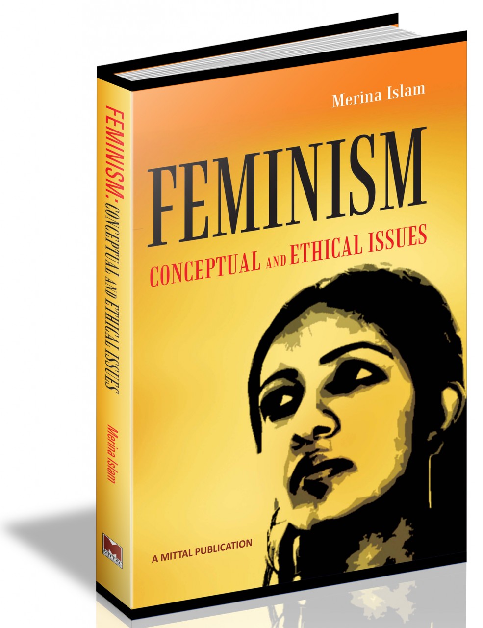 Feminism - Conceptual and Ethical Issues