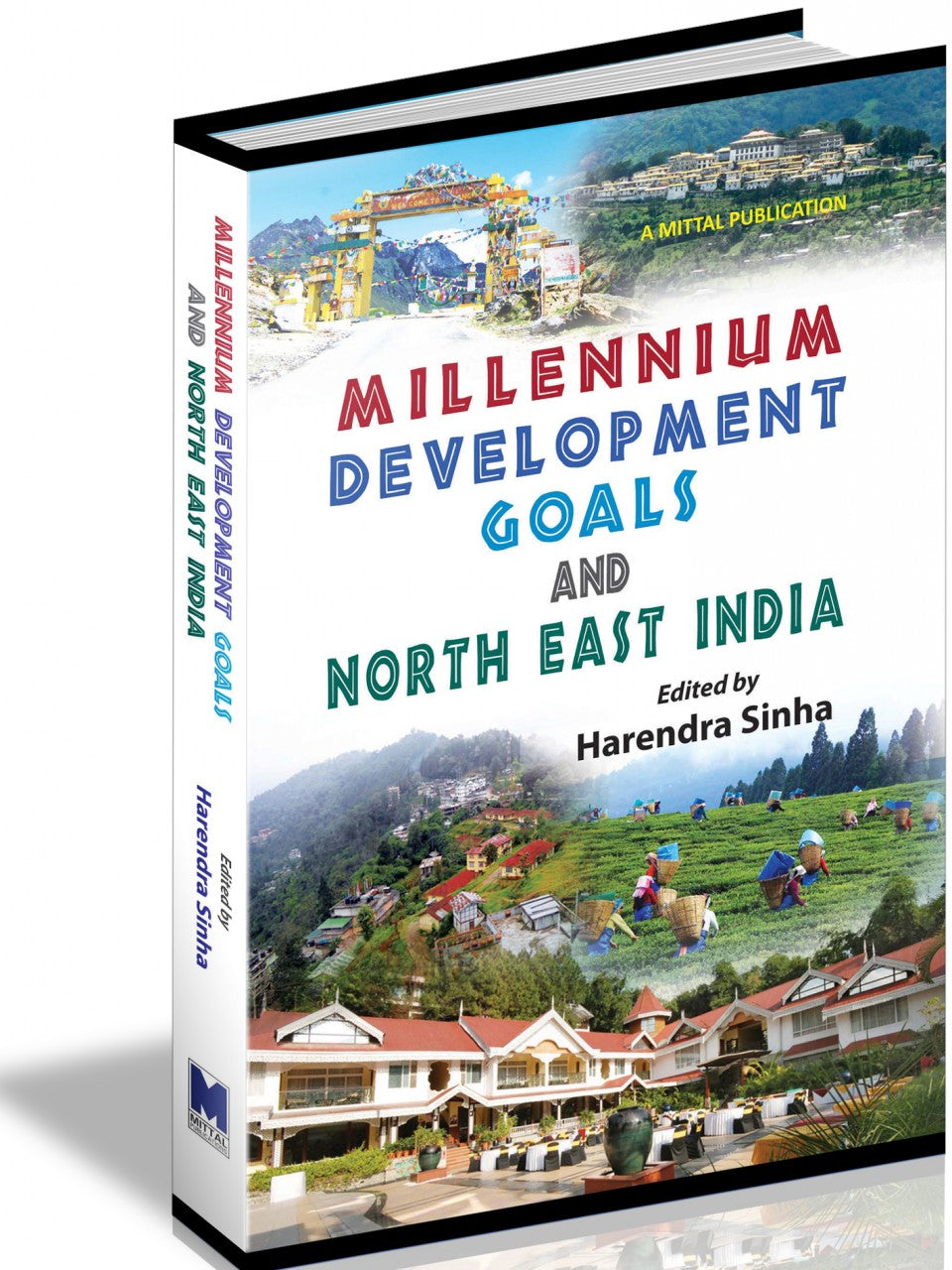 Millennium Development Goals and North East India