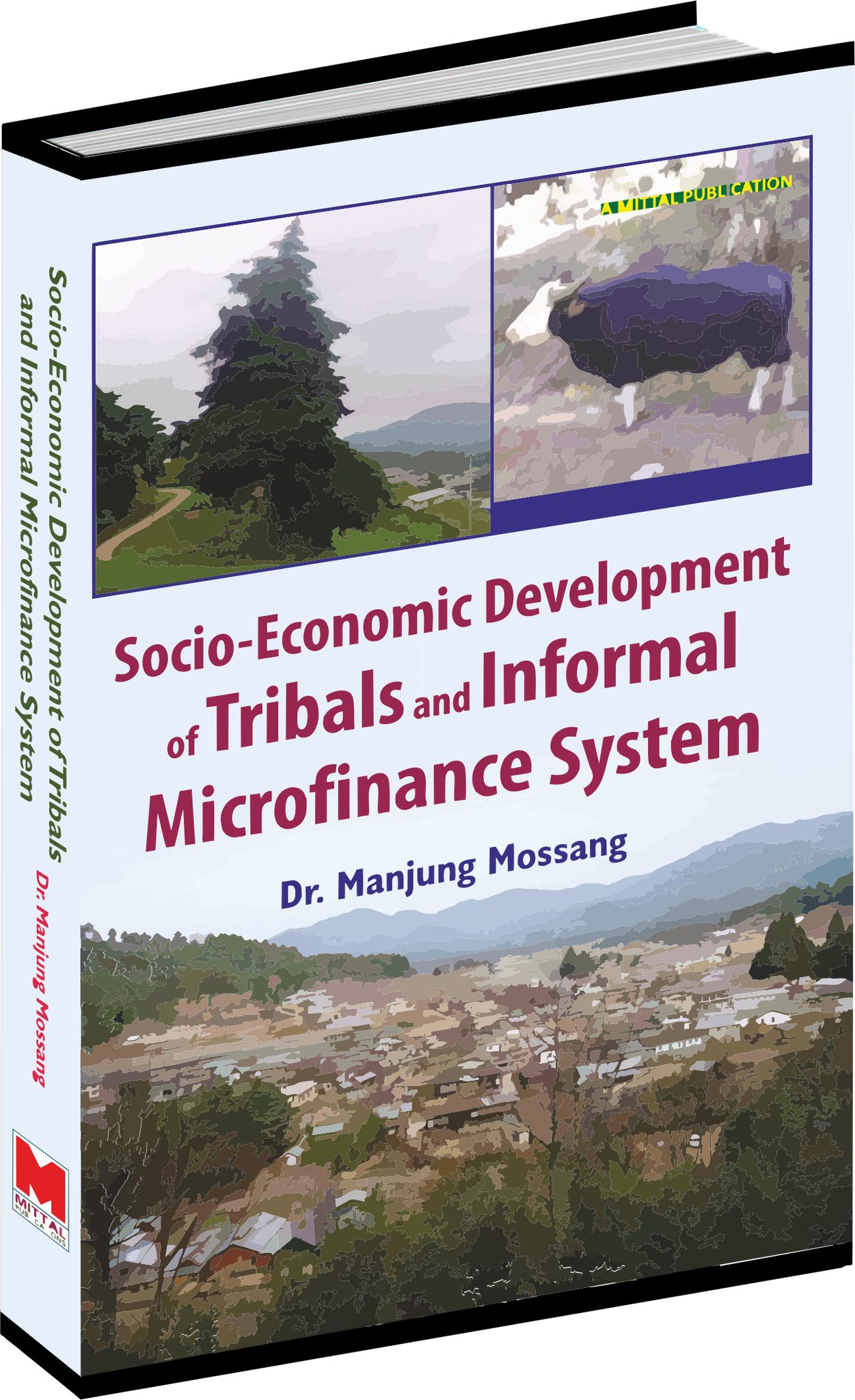 socio-economic-development-of-tribals-and-informal-microfinance-system